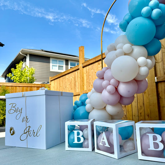 "The Sweet Reveal" Arch Backdrop & Balloon Surprise Box Package