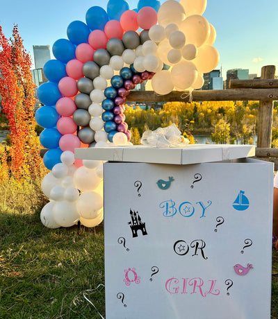 Baby & Kids (Gender Reveal, Baby Shower)