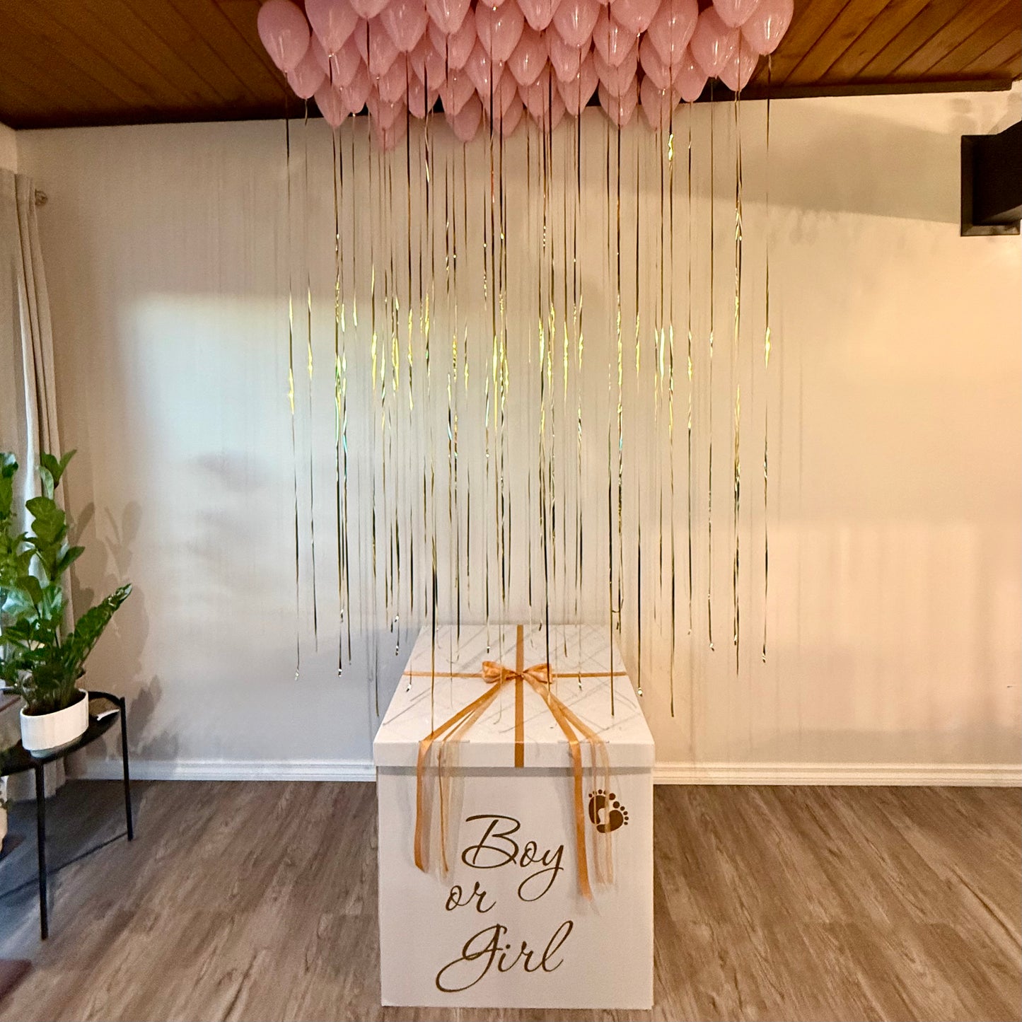 "Golden Cascade" Mini Balloon Gender Reveal Box | Indoor Helium Setup