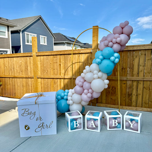 "The Sweet Reveal" Arch Backdrop & Balloon Surprise Box Package