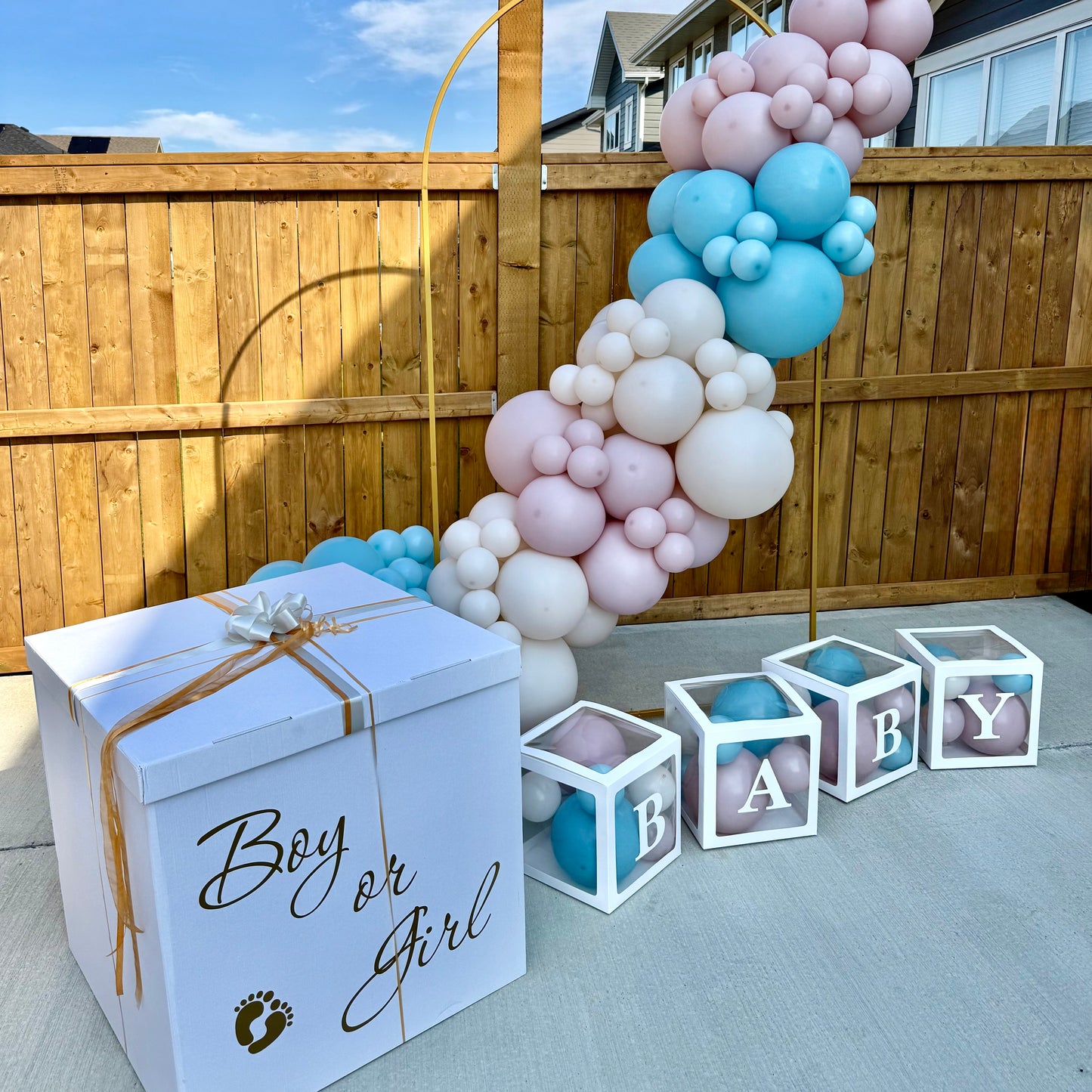 Custom Gender Reveal Balloon Surprise Box | Helium Reveal Setup