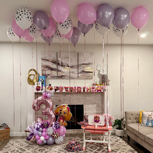 Paw Patrol Skye Theme Balloon Marquee & Ceiling Set | Calgary Kids Birthday