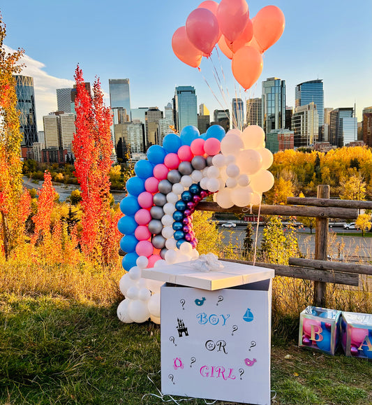 Calgary Gender Reveal Surprise Box & Freestanding Rainbow Package