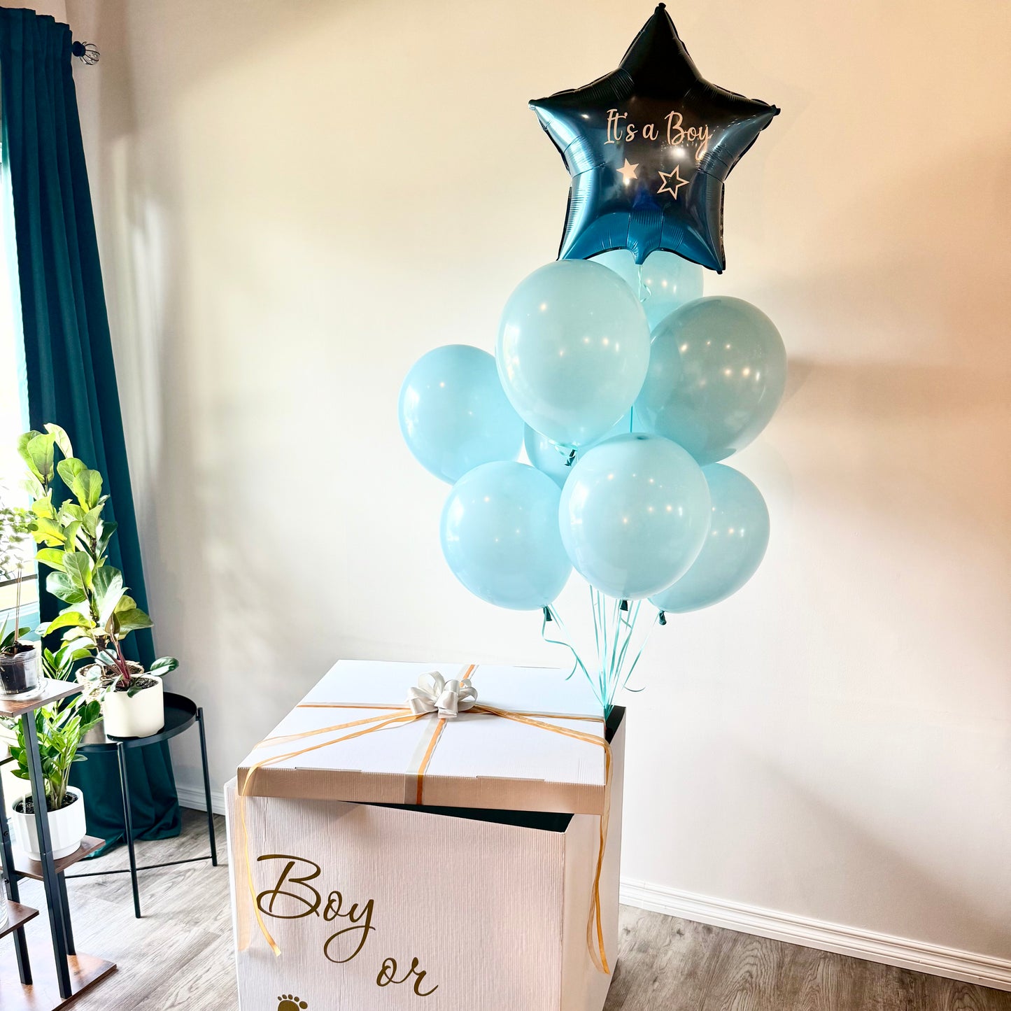 "The Sweet Reveal" Arch Backdrop & Balloon Surprise Box Package