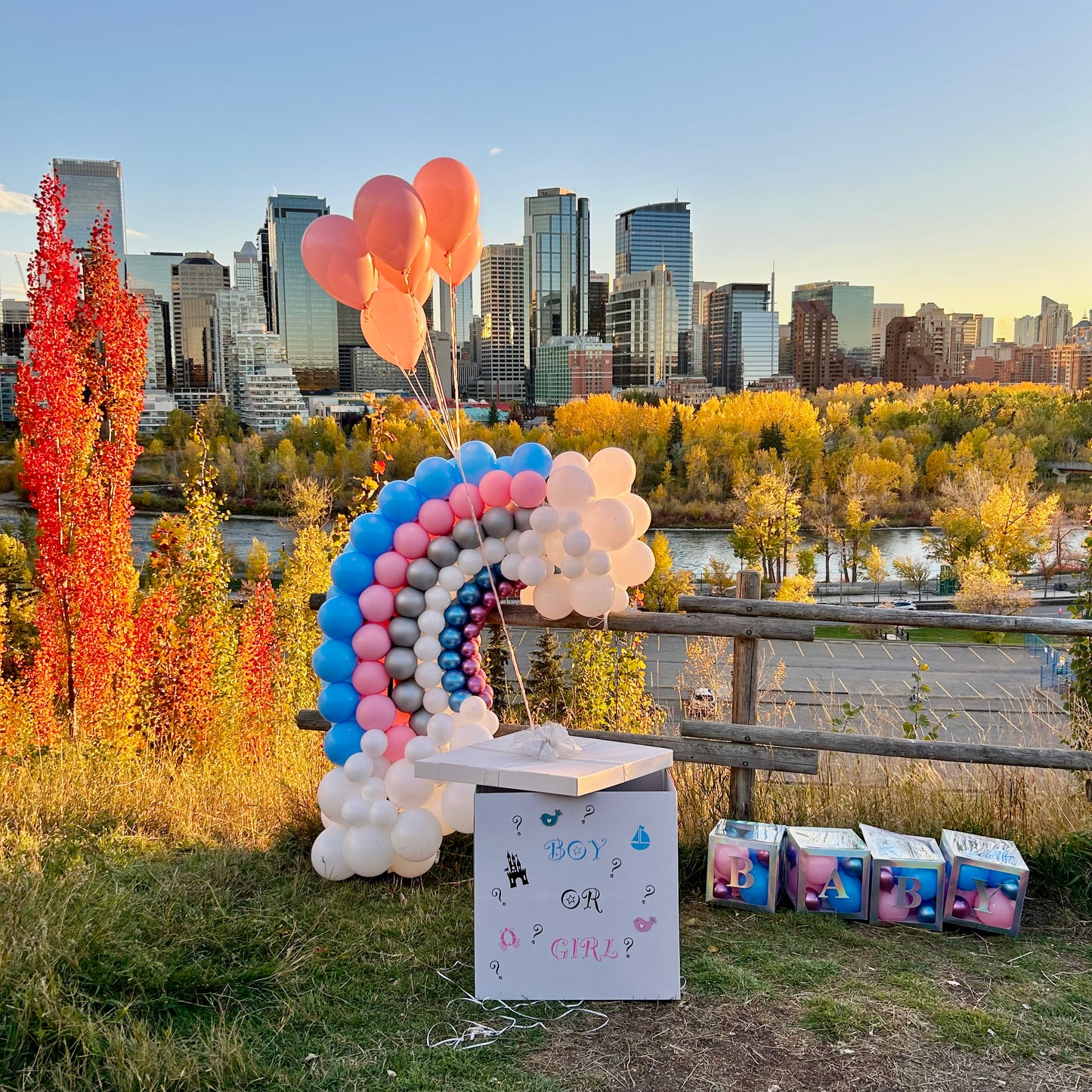 Calgary Gender Reveal Surprise Box & Freestanding Rainbow Package