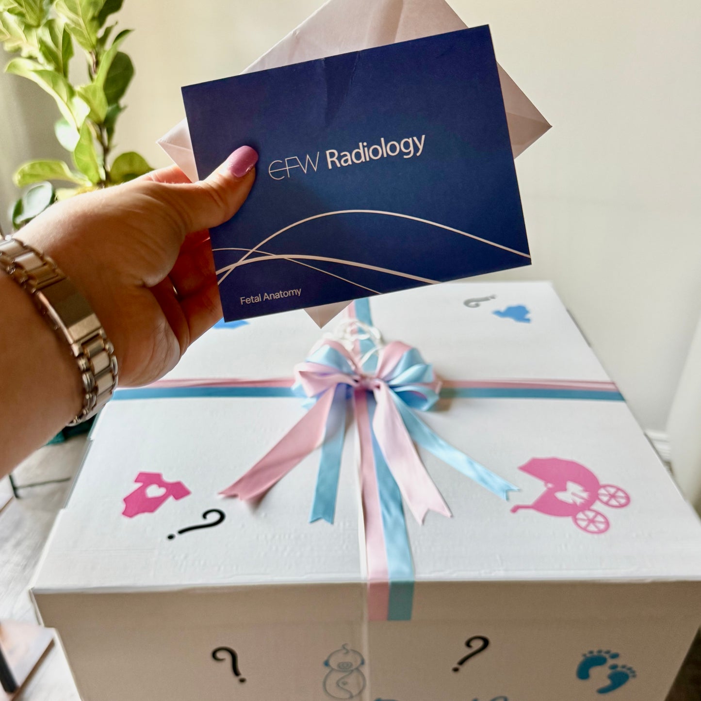 "Sibling Surprise" Gender Reveal Balloon Box | Confetti & Helium Setup