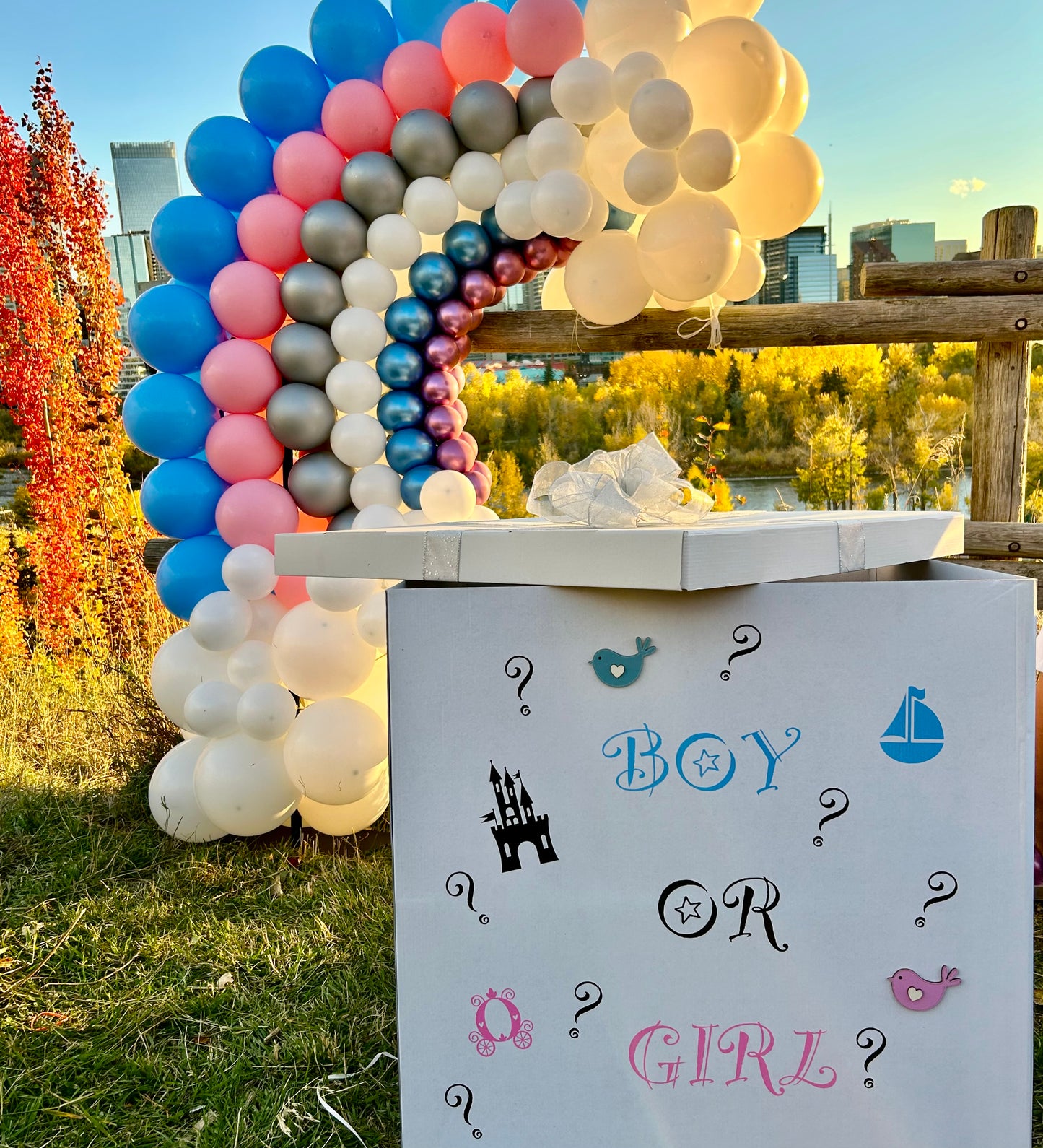 Calgary Gender Reveal Surprise Box & Freestanding Rainbow Package