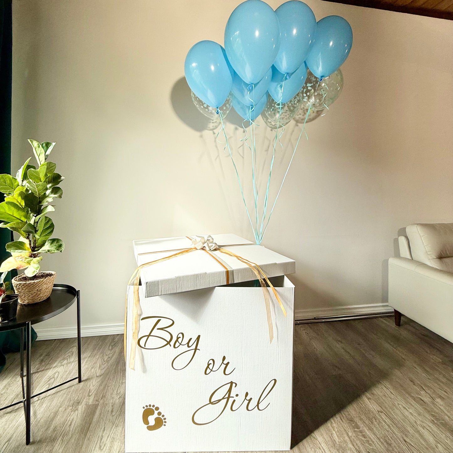 Giant Gender Reveal Surprise Box | Helium Balloon Pop-Out | Calgary Delivery