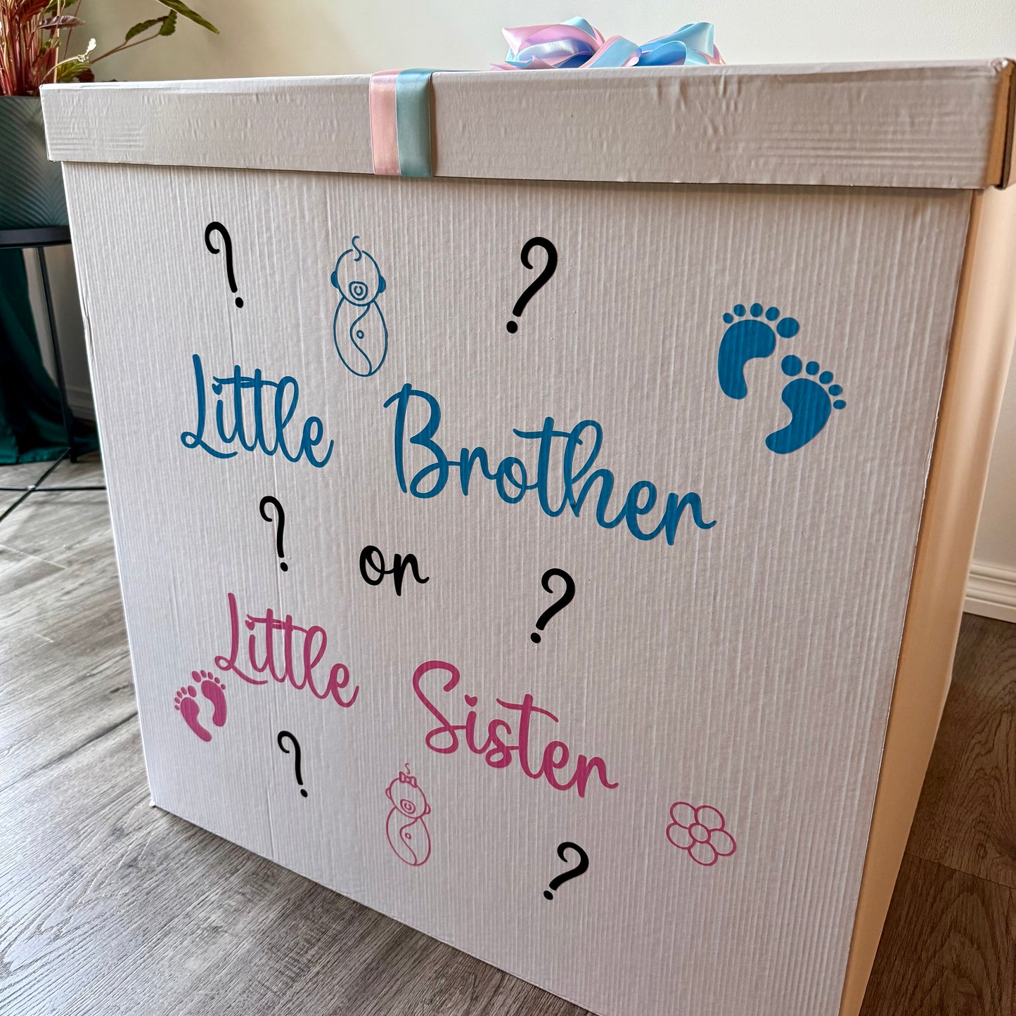 "Sibling Surprise" Gender Reveal Balloon Box | Confetti & Helium Setup