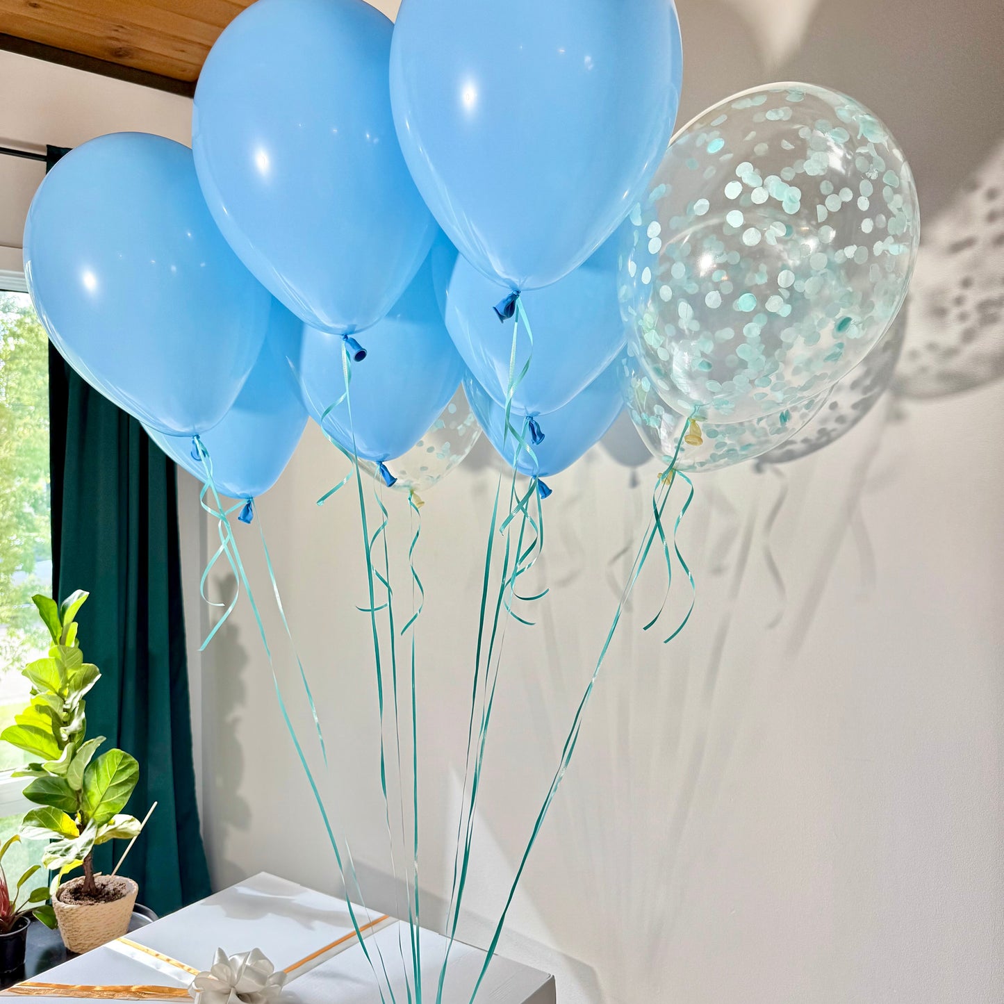 Giant Gender Reveal Surprise Box | Helium Balloon Pop-Out | Calgary Delivery